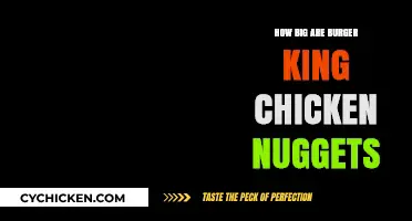 Burger King Chicken Nuggets Size Guide: What to Expect