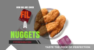 Chick-fil-A Nuggets Size Guide: How Big Are They Really?