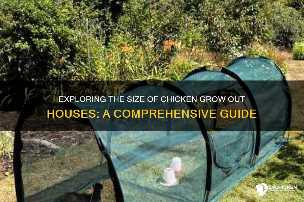 how big are chicken grow out houses