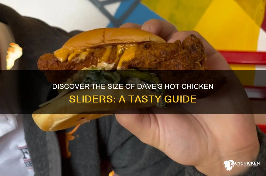 how big are daves hot chicken sliders