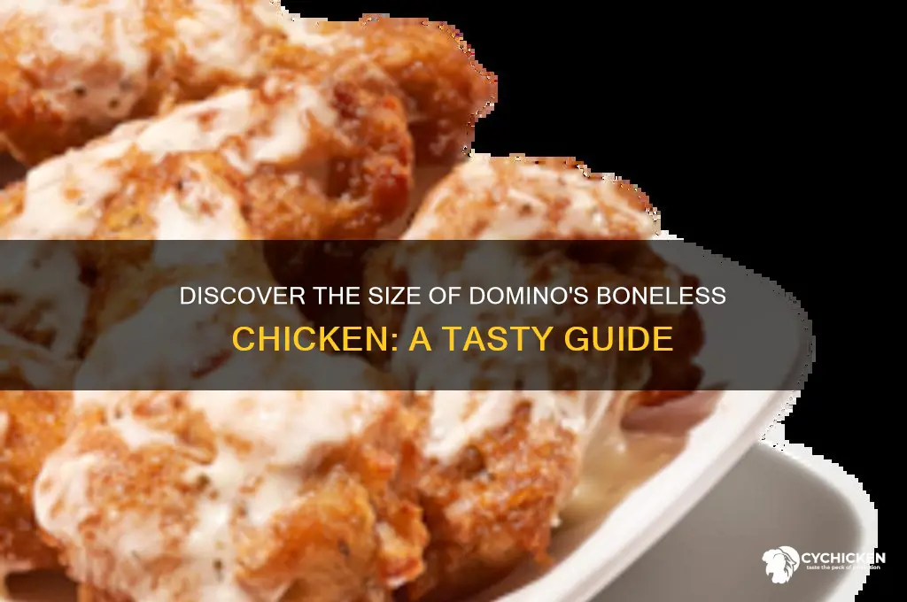 how big are domino
