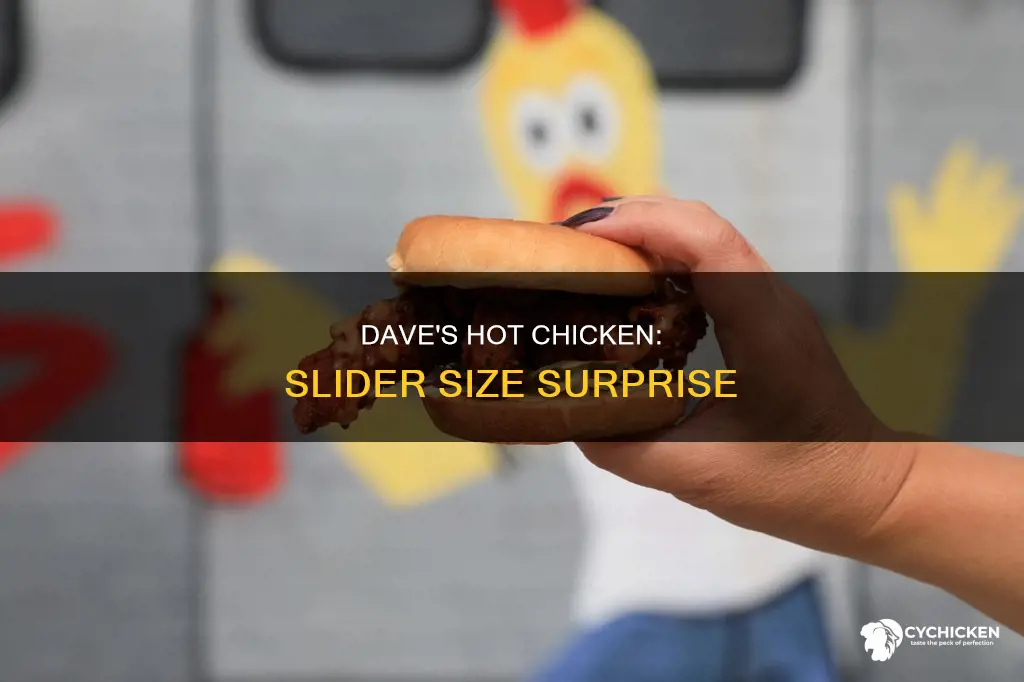 how big are the sliders at dave
