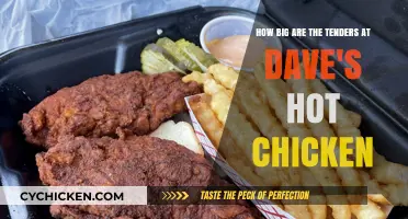 Dave's Hot Chicken: Tender Sizes Unveiled