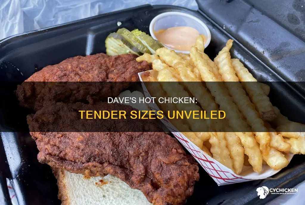 how big are the tenders at dave