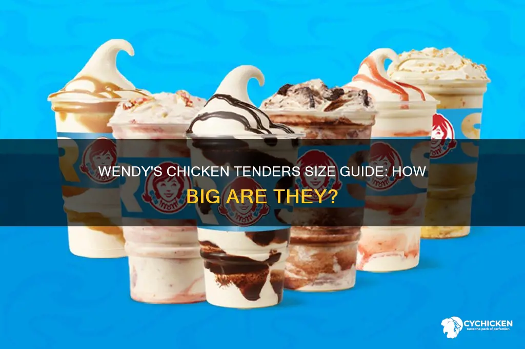 how big are wendy