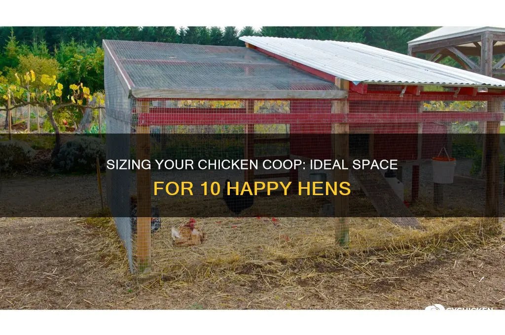 how big chicken house for 10 chickens