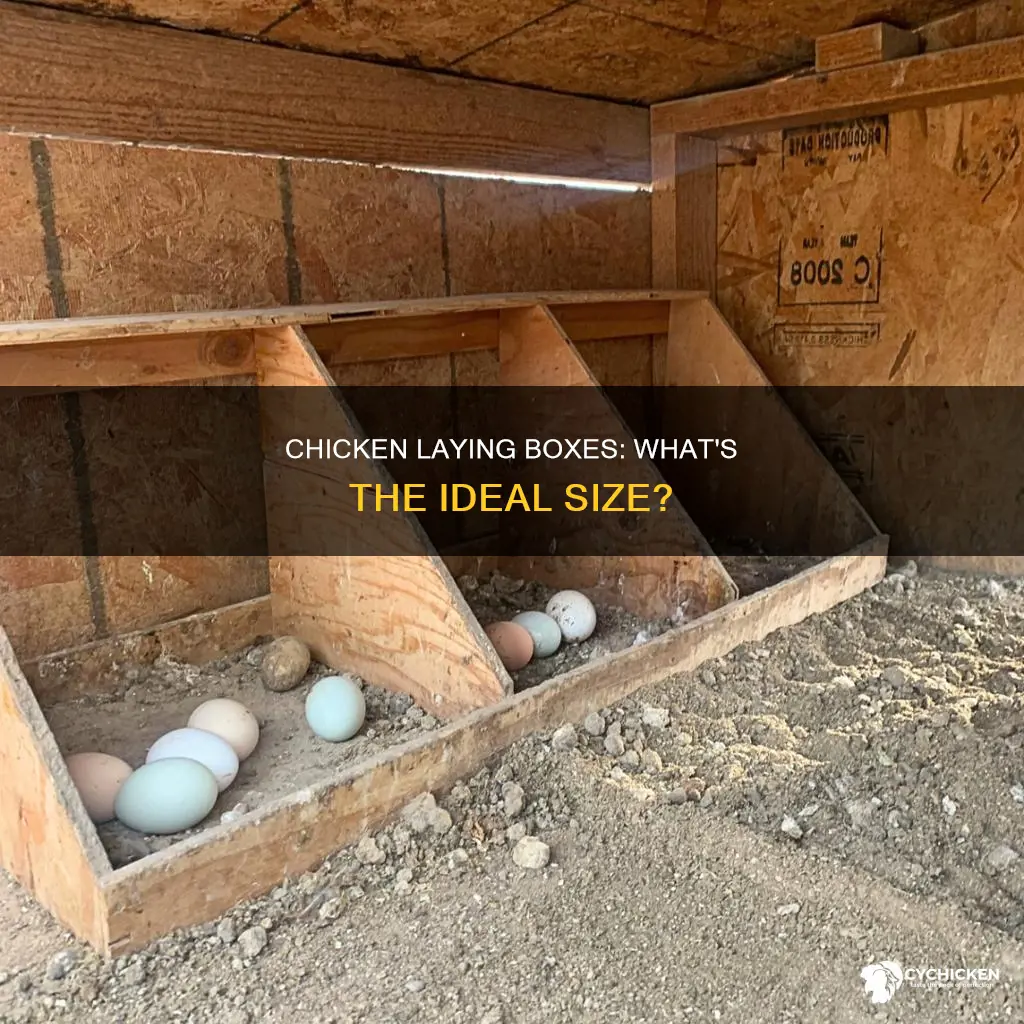 how big do chicken laying boxes need to be
