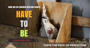The Right Size for Chicken Nesting Boxes