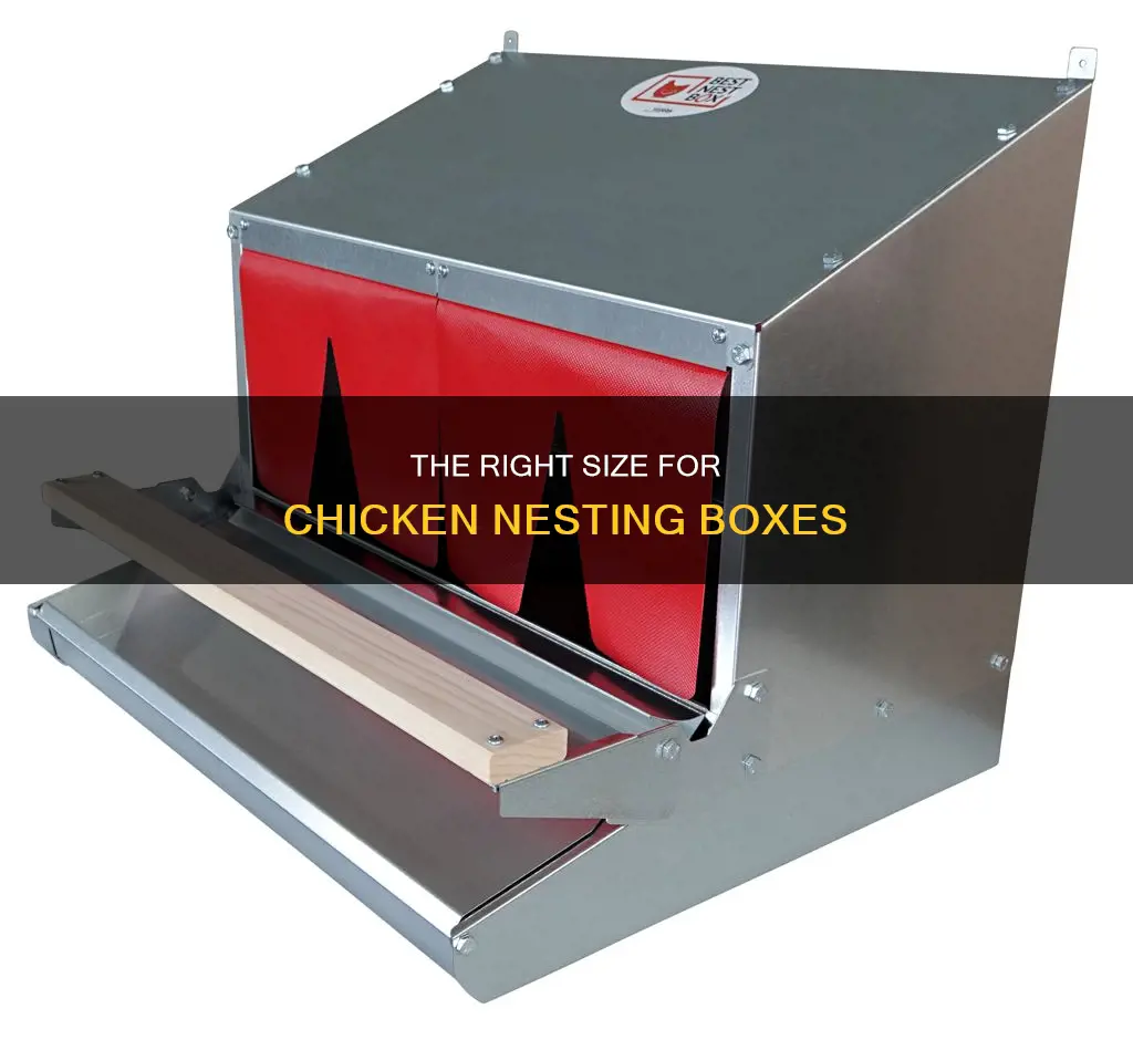 how big do chicken nesting boxes have to be