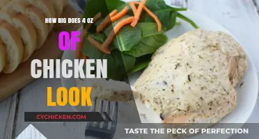Visual Guide: Understanding the Size of 4 Ounces of Chicken
