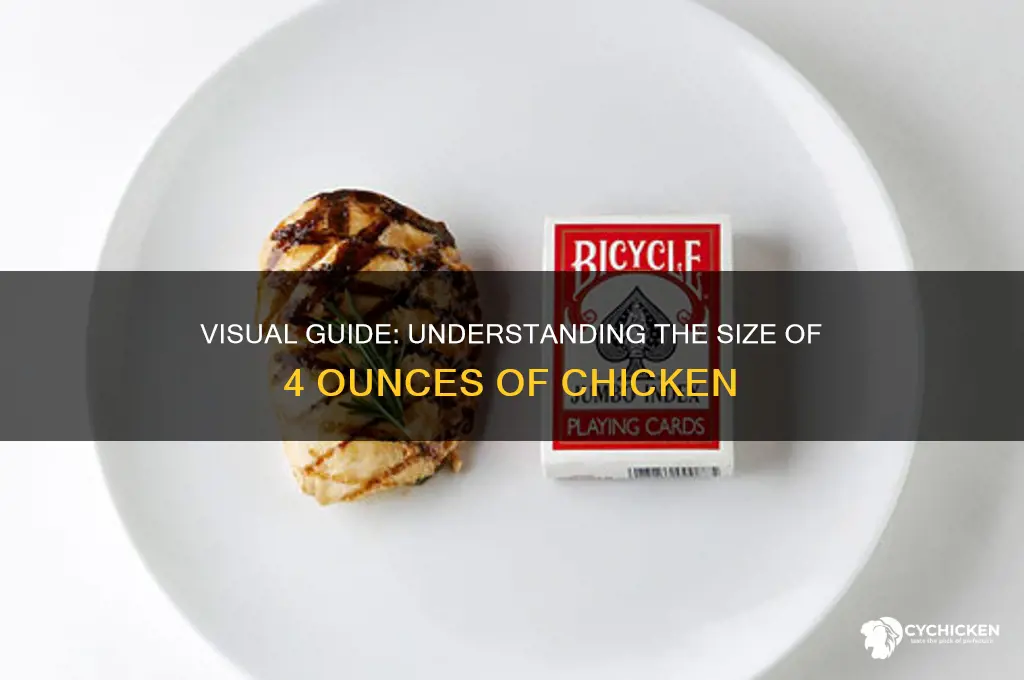 how big does 4 oz of chicken look