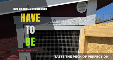 Creating the Perfect Chicken Door: Size and Dimension