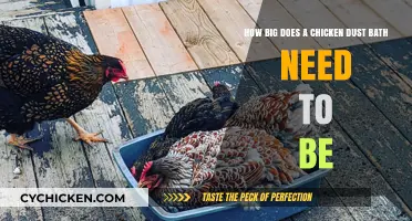 Make a Spacious Dust Bath for Happy Chickens