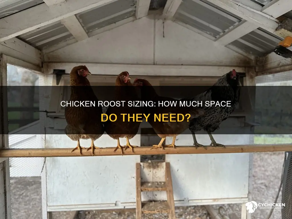 how big does a chicken roost need to be