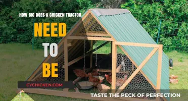 Chicken Tractors: How Large for Happy Hens?