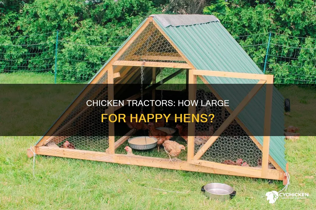 how big does a chicken tractor need to be