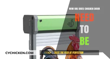 Optimal Chicken Coop Door Size: Ensuring Safety and Easy Access