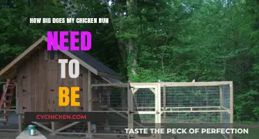 Chicken Run: How Much Space Do They Need?