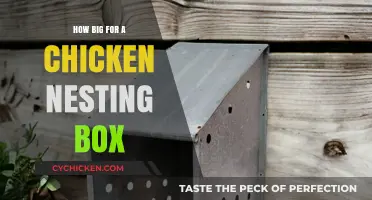 Perfect Chicken Nesting Box Size: A Guide for Happy Hens