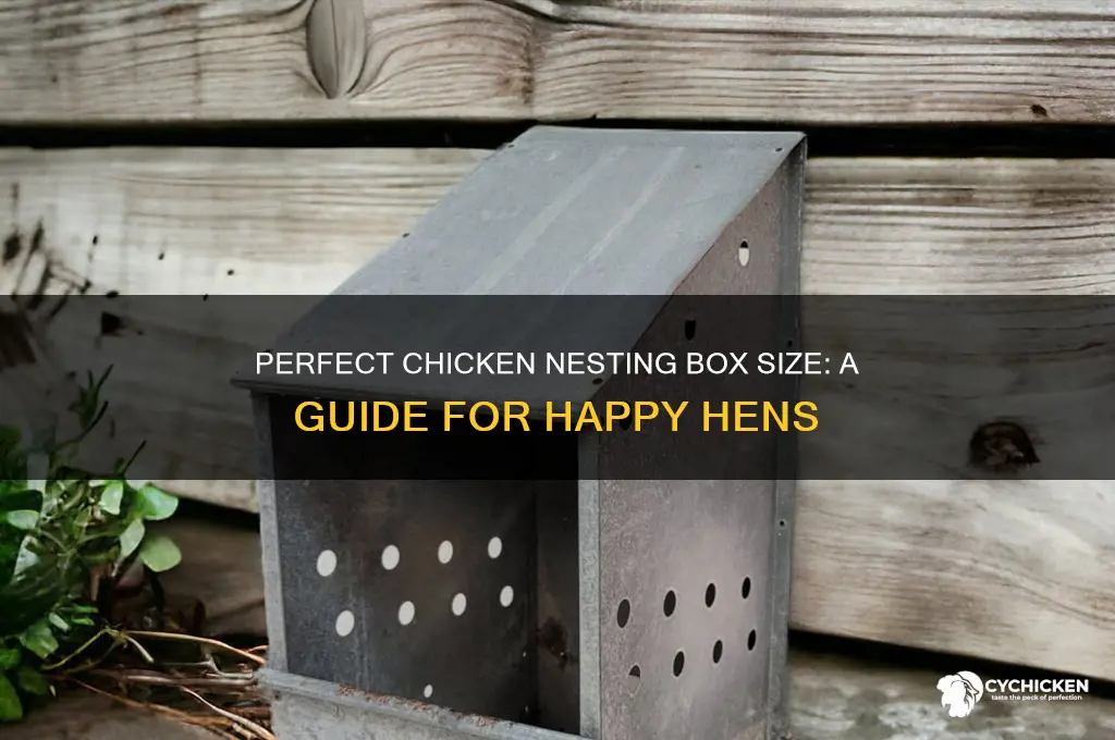 how big for a chicken nesting box
