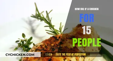 Perfect Chicken Size for 15 People: A Serving Guide