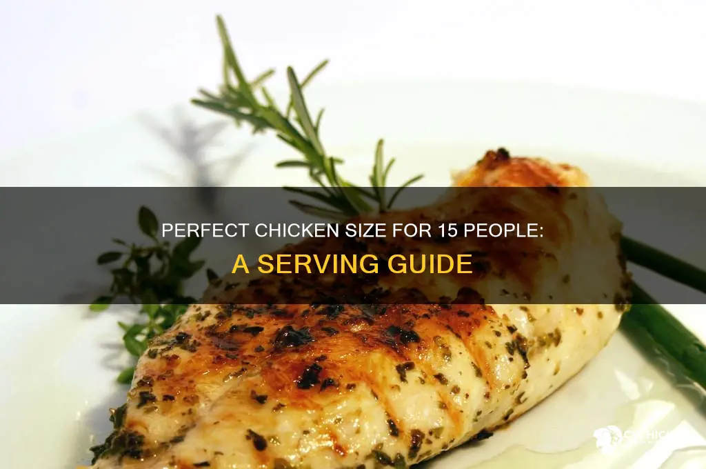 how big if a chicken for 15 people