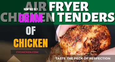 Understanding the Size of 1 Gram of Chicken: A Visual Guide