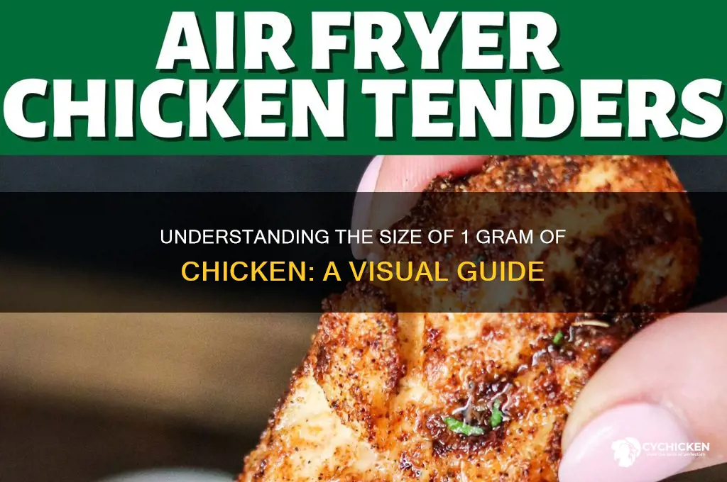 how big is 1 gram of chicken