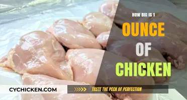 Understanding the Size of 1 Ounce of Chicken: A Visual Guide