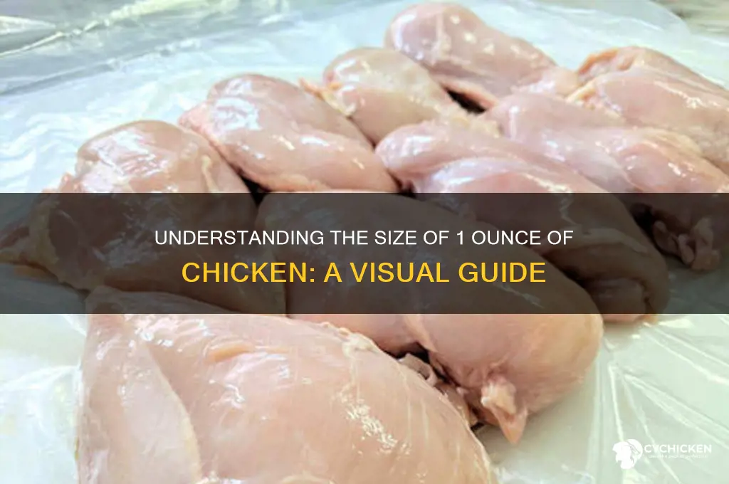 how big is 1 ounce of chicken