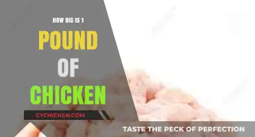 Understanding the Size and Portion of 1 Pound of Chicken
