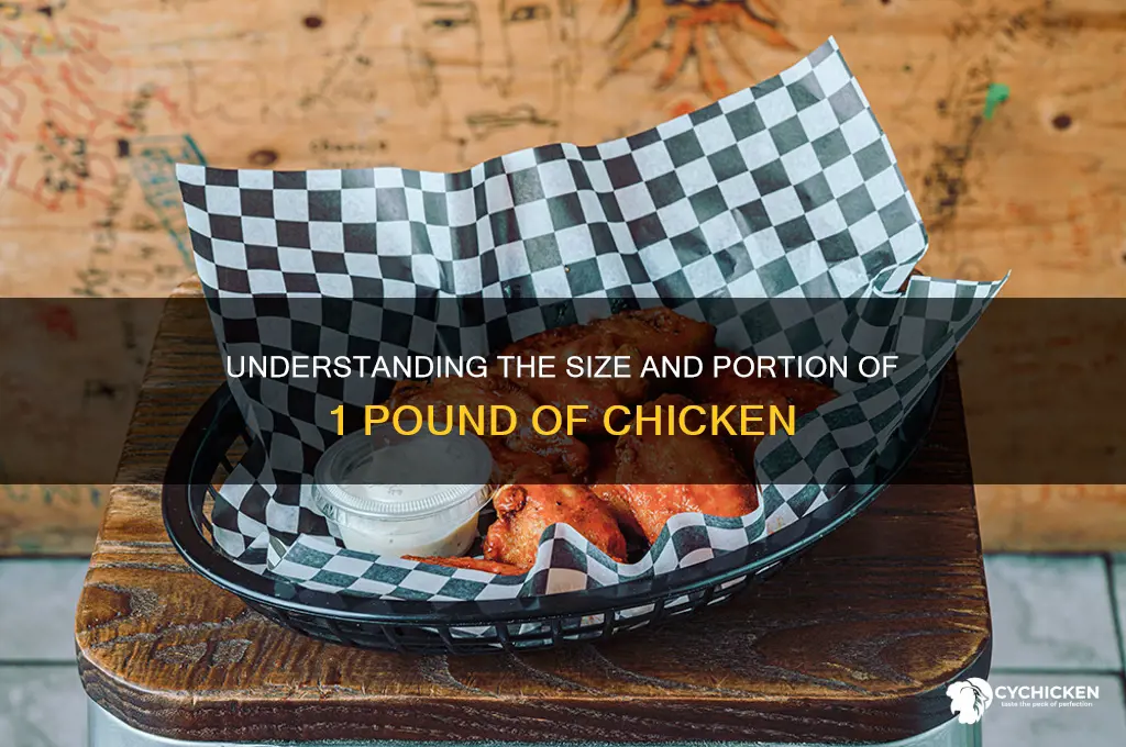 how big is 1 pound of chicken