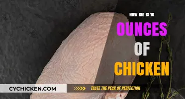 Understanding the Size of 10 Ounces of Chicken: A Visual Guide