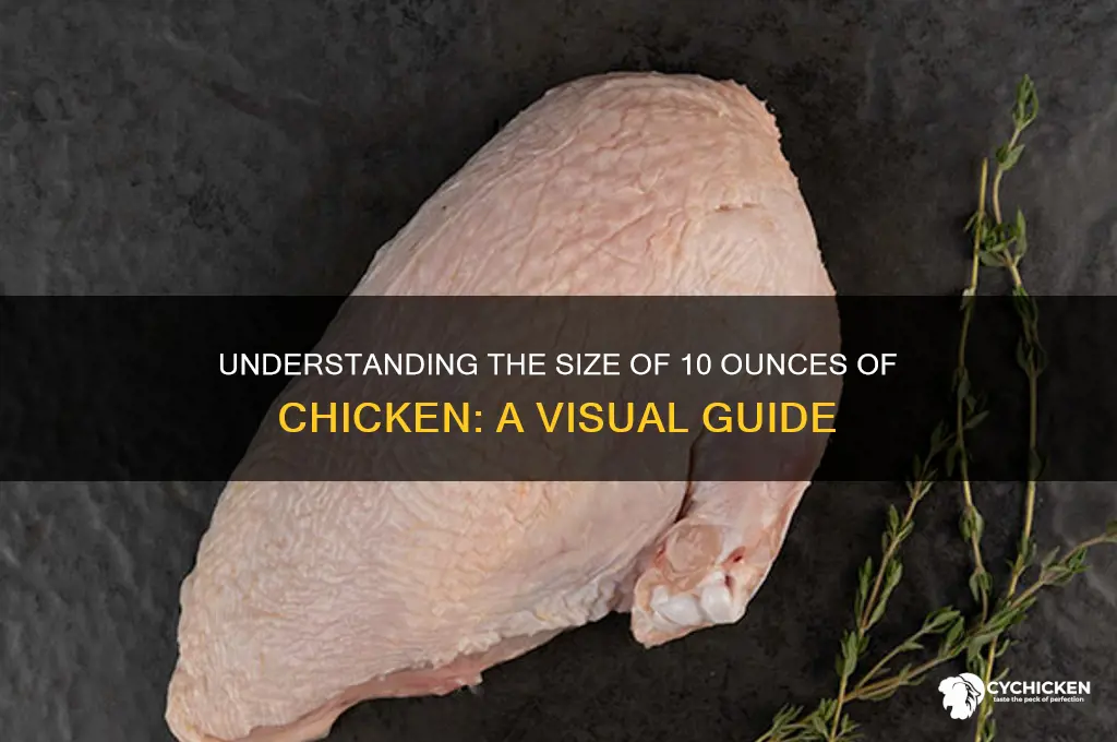 how big is 10 ounces of chicken