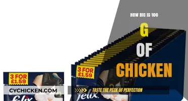 Understanding the Size of 100 Grams of Chicken: A Visual Guide