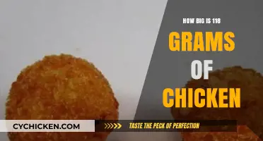 Understanding the Size of 118 Grams of Chicken: A Visual Guide