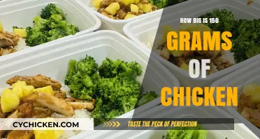 Understanding the Size of 150 Grams of Chicken: A Visual Guide