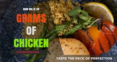 Understanding the Size of 20 Grams of Chicken: A Visual Guide