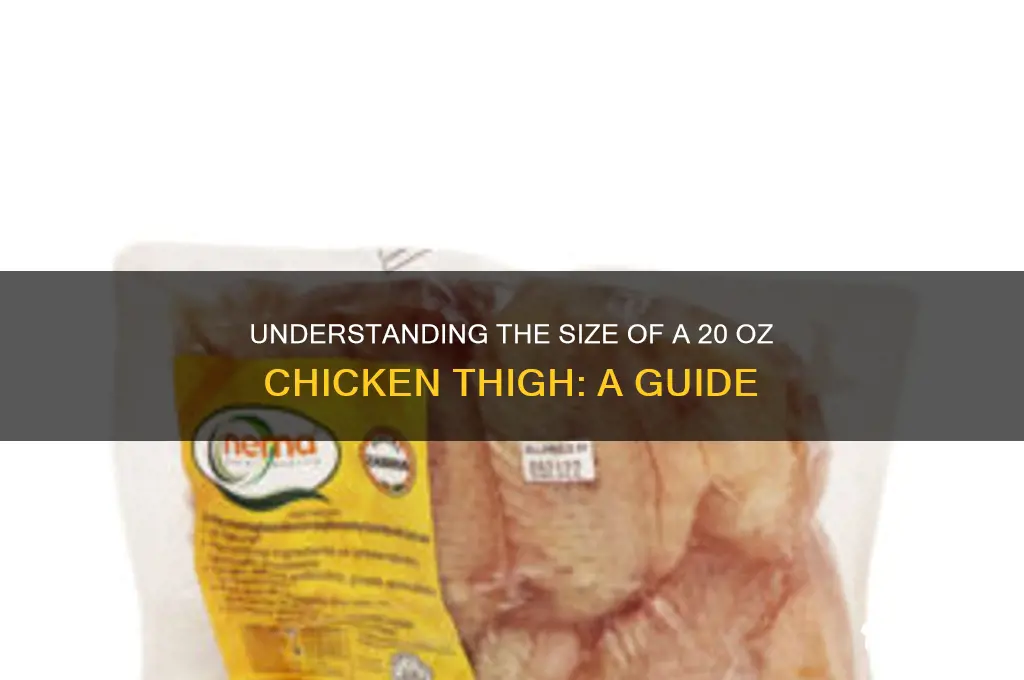 how big is 20 oz chicken thigh