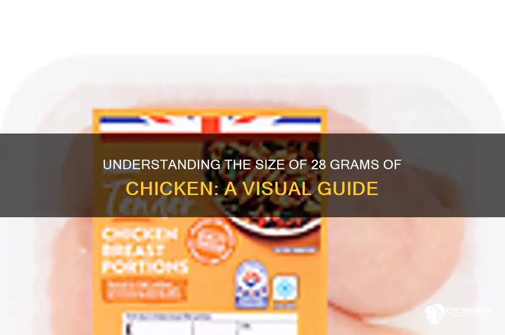 how big is 28 grams of chicken