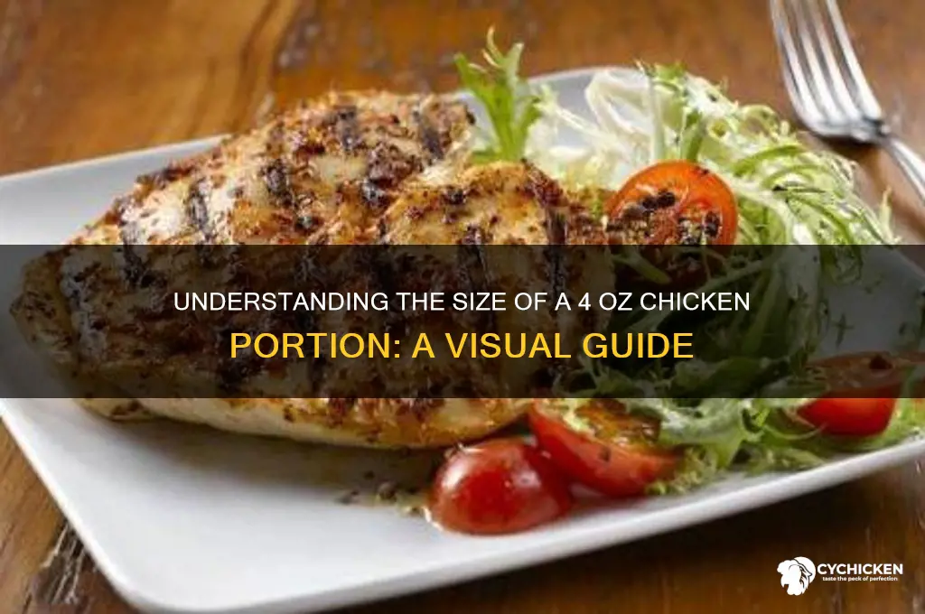 how big is 4 oz of chicke