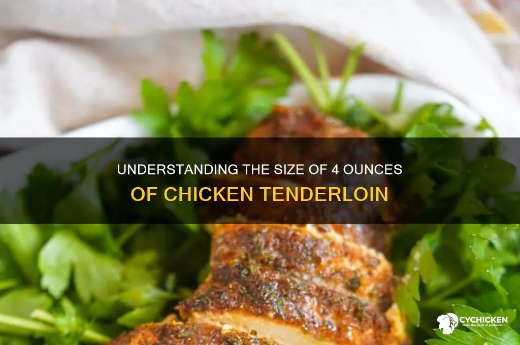 how big is 4 oz of chicken tenderloin