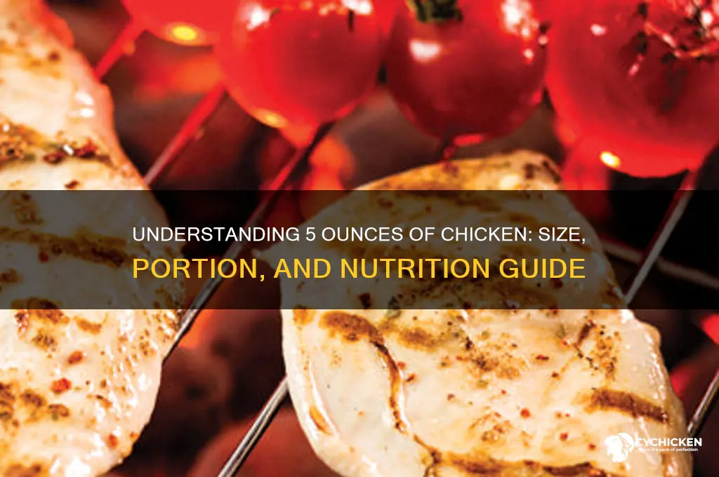 how big is 5 ounces of chicken