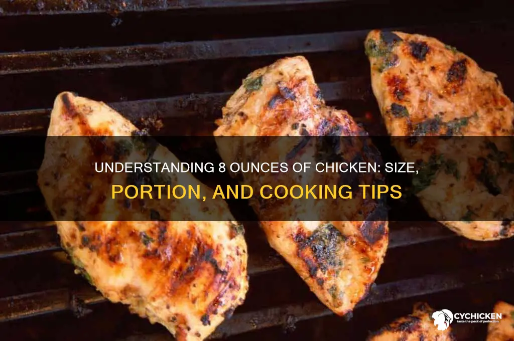 how big is 8 ounces of chicken