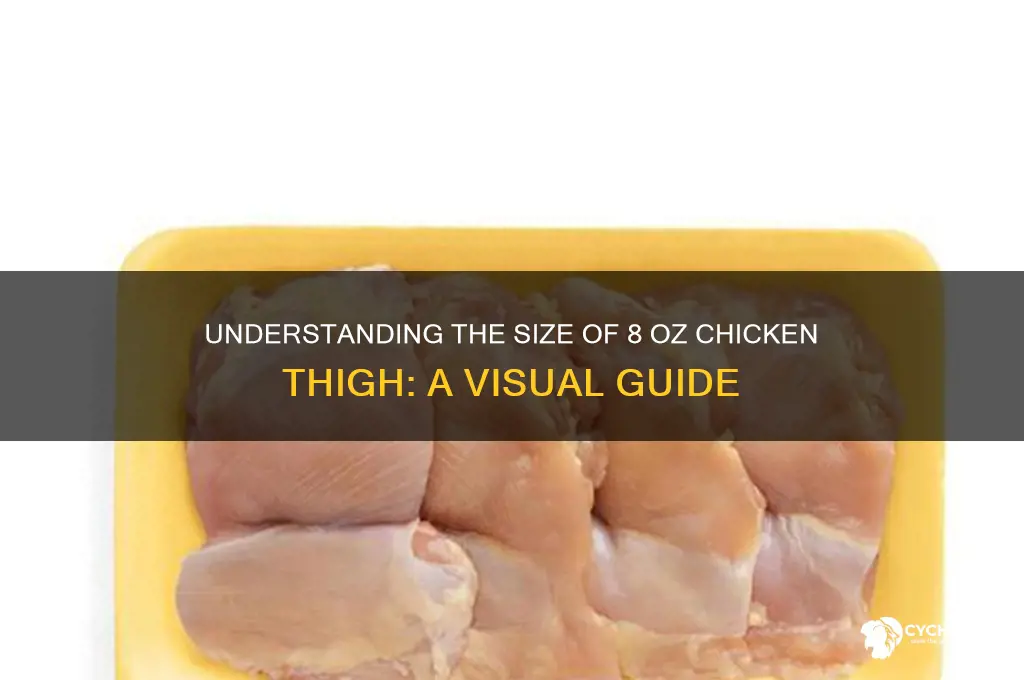 how big is 8 oz of chicken thigh
