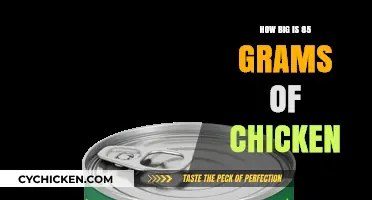 Understanding the Size of 85 Grams of Chicken: A Visual Guide