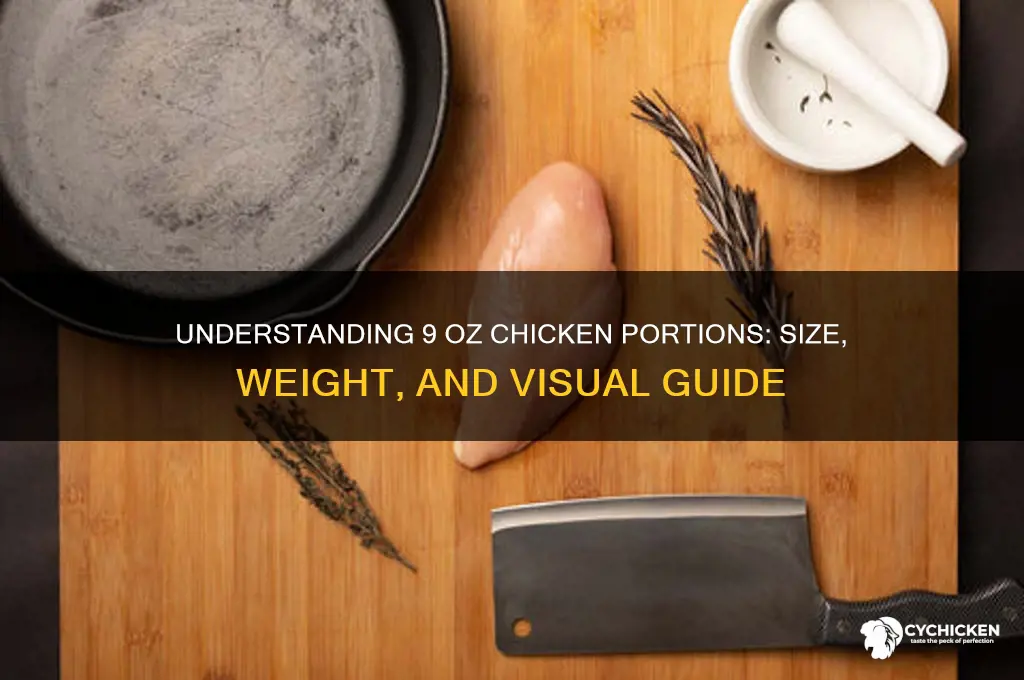 how big is 9 oz of chicken