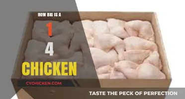Understanding the Size of a Quarter Chicken: A Comprehensive Guide