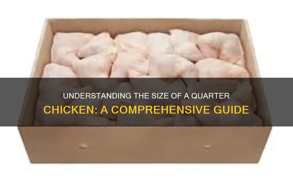 how big is a 1 4 chicken