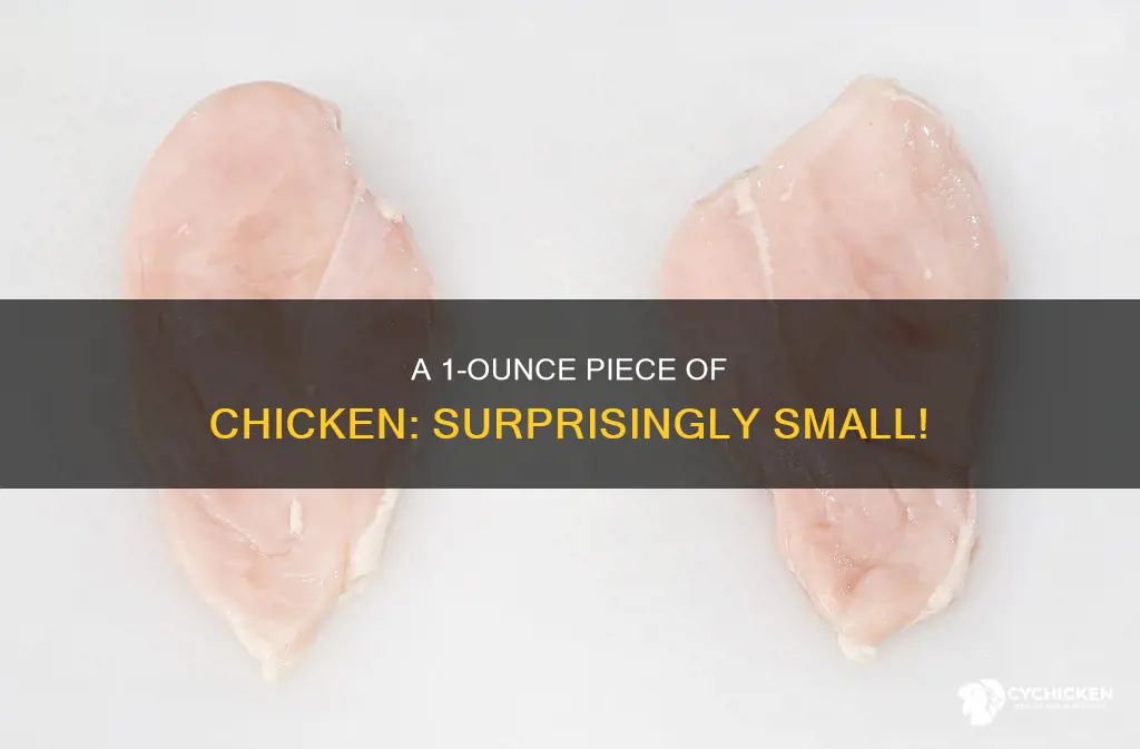 how big is a 1 oz piece of chicken